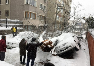 Bursa'da yoğun kar asırlık ağacı yıktı, tramvay seferleri güçlükle yapılabiliyor...(ÖZEL HABER)