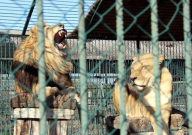 Batıda kara kış, Samsun'da yazdan kalma gün