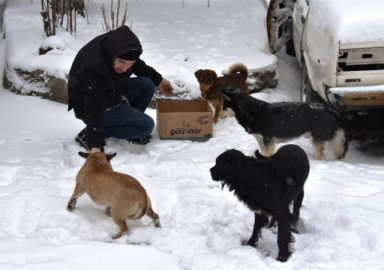 Tekirdağ'da sokak hayvanlarını unutmadı