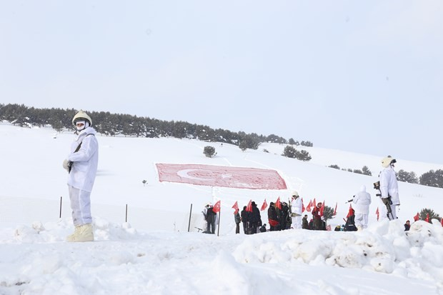 1745139_4_1483869155E2TRI