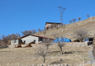 Ev bulamayan Şırnaklı aile ahıra yerleşti