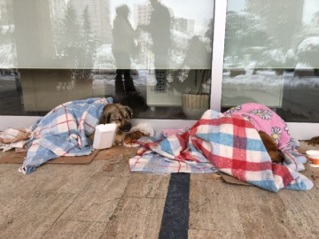 Sokak hayvanlarına battaniyeli koruma