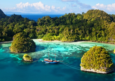 8 büyüklüğünde deprem oldu! Tsunami alarmı verildi