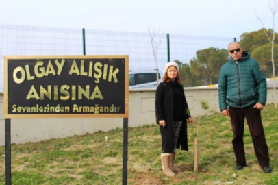 Oğullarının adını yaşatmak için 300 fidan diktiler