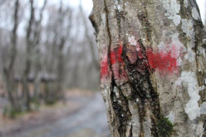 O iddia tepkiye neden oldu