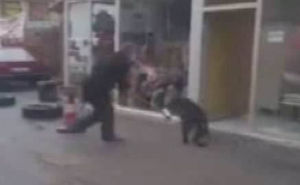 Sokak köpeklerine sopayla dayak kamerada