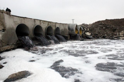 Ergene zehirden kurtulacak