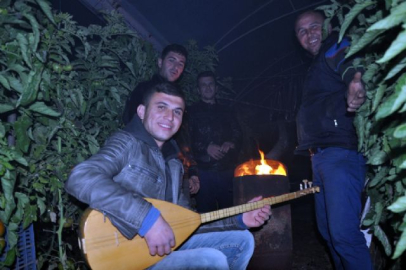 Sazlı sözlü zirai don nöbeti