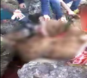 Bu görüntüler hayvanseverleri çok kızdıracak