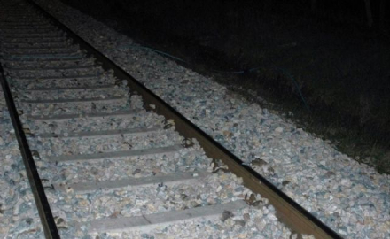 Polis köpeği faciaya neden oluyordu