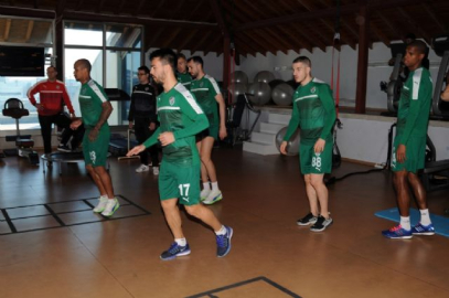 Timsah salonda çalıştı