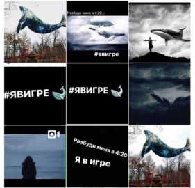 Bu oyun intihara sürüklüyor