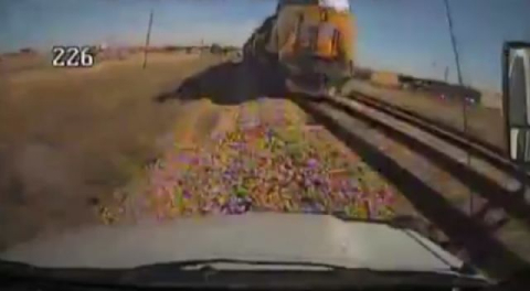 Yoldan çıkan otobüs trenle çarpıştı