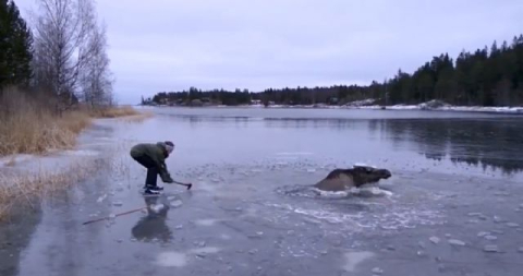 İnsanlık ölmemiş dedirten görüntü