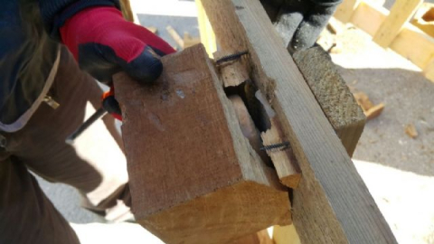 Narkotik dedektör köpeği 99 kilo eroin buldu