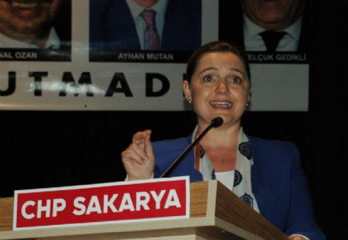 CHP'li Böke: Demokrasiye hava kadar su kadar ihtiyacımız var
