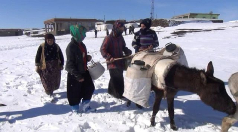 Kadınların bitmeyen çilesi: Eşeklerle su taşıyorlar
