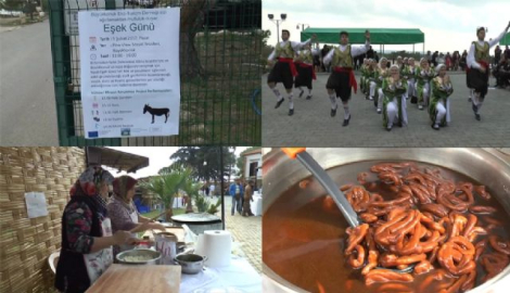 'Eşek Günü' kutlandı ama eşeksiz