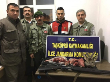 Karaca avlayan avcılara 13 bin TL ceza