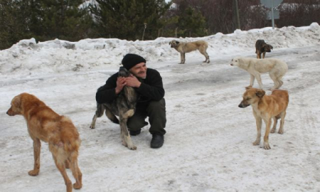 Köpekleri doyurmak için her gün 50 kilometre gidiyor