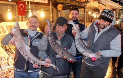 Mersinli balıkçılardan ilginç referandum halk yoklaması