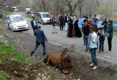Yoğun yağış kayaları yerinden oynattı