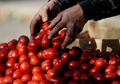 Rusya Tarım Bakanlığı'ndan Türkiye'ye: Sırtımızdan bıçaklandık