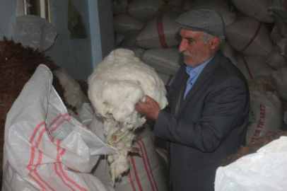 Yüncülük sektörü teknoloji kurbanı oldu