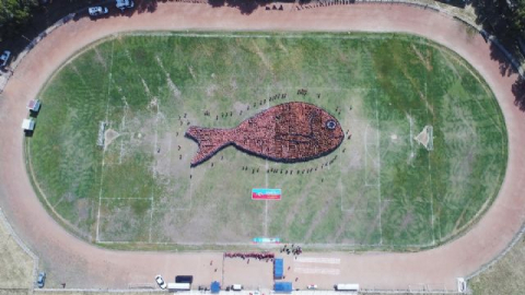 2 bin 791 kişiyle dünyanın en büyük balık figürü oluşturuldu