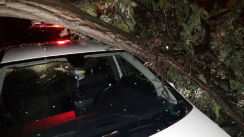 Şiddetli rüzgar bu ili uçurdu