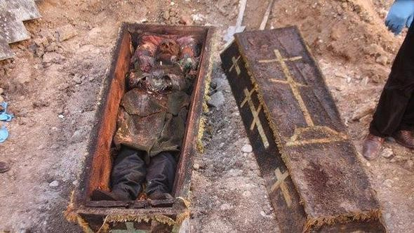 1778657_2_1495346670VIIrI