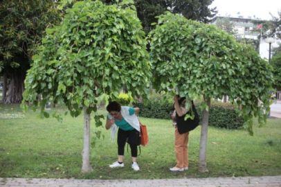 Yaşlanmayı geciktiriyor