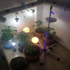 Lüks villaya uyuşturucu baskını: 1'i Rus 3 gözaltı