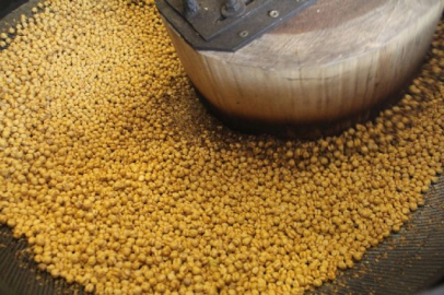 'Sarı altın'ın zahmetli yolculuğu