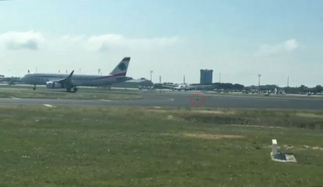 Atatürk Havalimanı trafiğini alt üst eden köpek kamerada