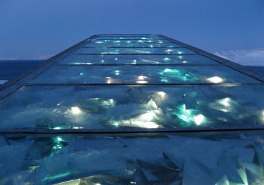 'Kıyamet Ambarı'nda korkutan gelişme!