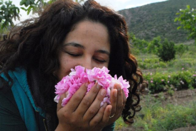 Gül üretiminde milyonluk su tasarrufu