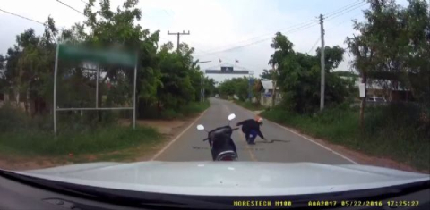 Yılandan korkmak yerine yerden yere vurdu