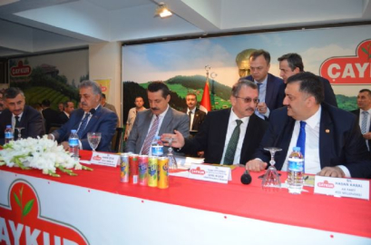 2017 yılı yaş çay taban fiyatı açıklandı