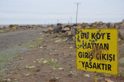 Bursa'da kuduz karantinası