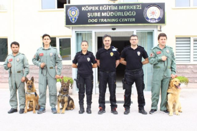 3. havalimanı için hassas burunlar Gölbaşı'nda yetişiyor