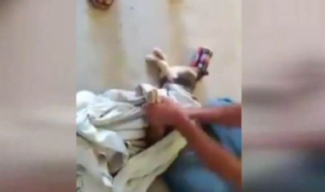 Kediyi ölümden böyle kurtardılar