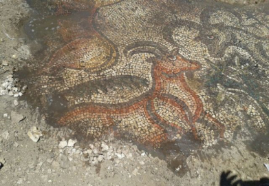 Çiftçiler tarlada buldu