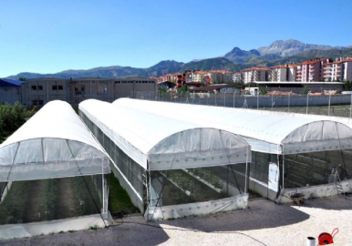 Cezaevlerinde 'Topraksız Tarım' projesi hayata geçti