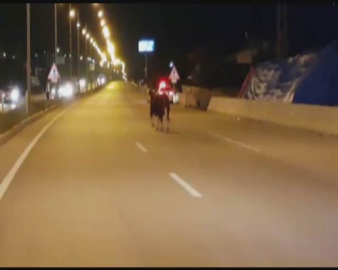 Boğa bayramı şaşırdı !