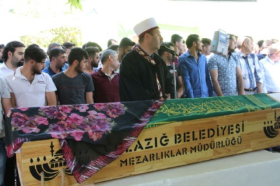 Mezarlık ziyaretinde arının soktuğu kadın öldü