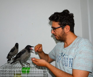 Bahçede bulduğu kargaları elleriyle besliyor