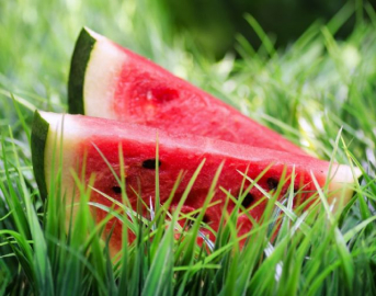 Kanserin düşmanı 'karpuz'