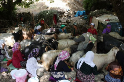 Berivanların zorlu bayram mesaisi