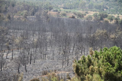 Yangının neden olduğu zarar gün ağarınca ortaya çıktı